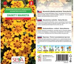 Aksamitník rozkladitý jednoduchý DAINTY MARIETA