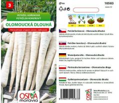 Petržel kořenová OLOMOUCKÁ DLOUHÁ