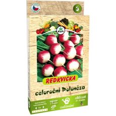 Ředkvička celoroční Polonéza - pásek