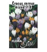 Crocus směs